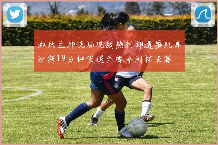 加纳主帅现场观战热刺却遭噩耗库杜斯19分钟伤退无缘非洲杯正赛